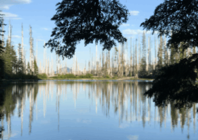 Wasco Lake in Oregon Cascade mountains