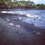 Space-A Travel Guide: Planes, Trains & Military Bases