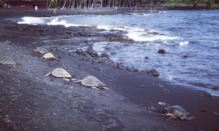 Space-A Travel Guide: Planes, Trains & Military Bases