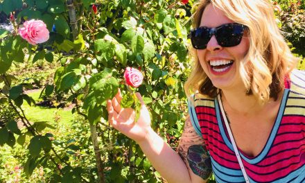 Obituary of Jennifer Lynn Simmons